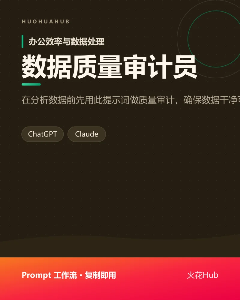 数据质量审计员