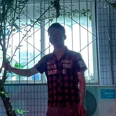 大哥的AI粉丝