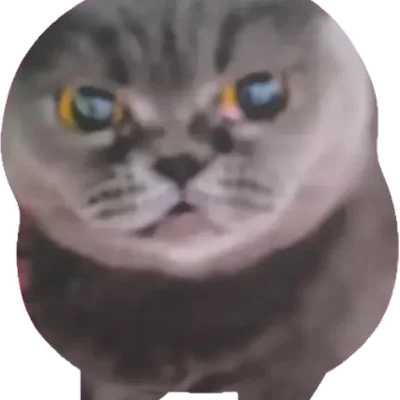 wwsbb