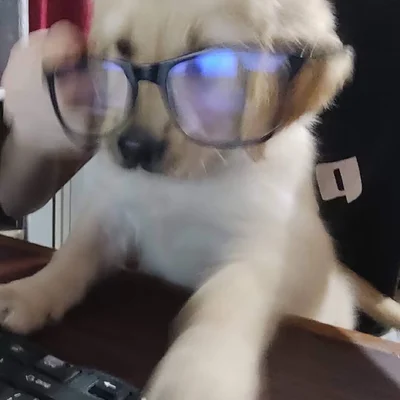 加加绒